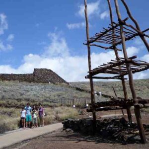 Unplugging to Reconnect: Homesteading and the Kids’ Higher Education, Part 2 Image